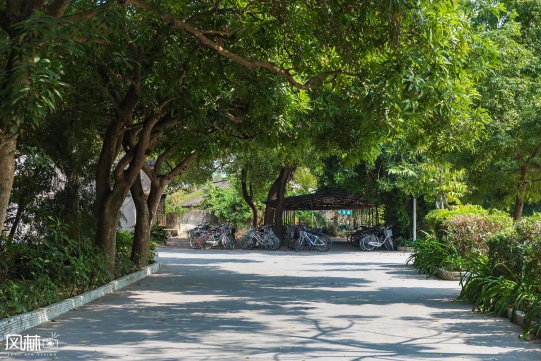 （家乡荐文）来为揭西河婆中学89岁生日接力祝福