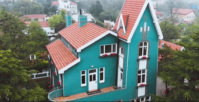 海滨老城泡桐花 (海滨老城紫色泡桐花)