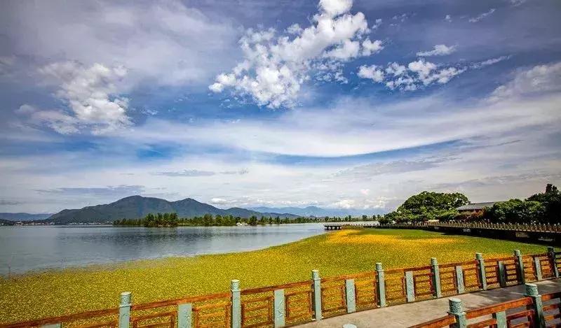 四川最美马拉松赛道,西昌邛海湿地马拉松赛