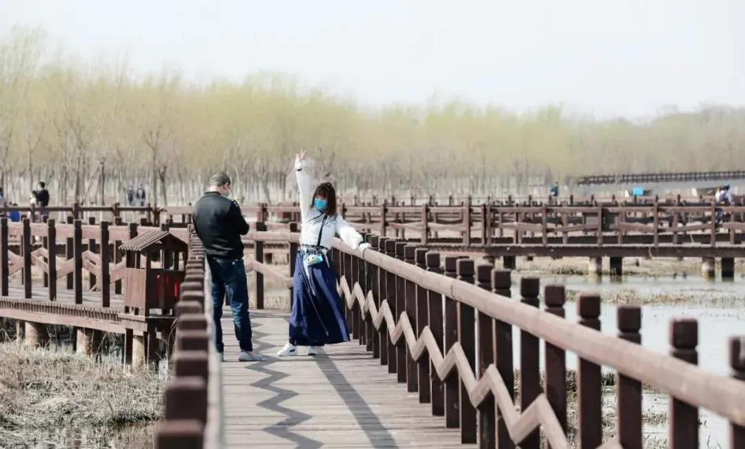 天津春暖花开西沽公园,天津开放的湿地生态公园