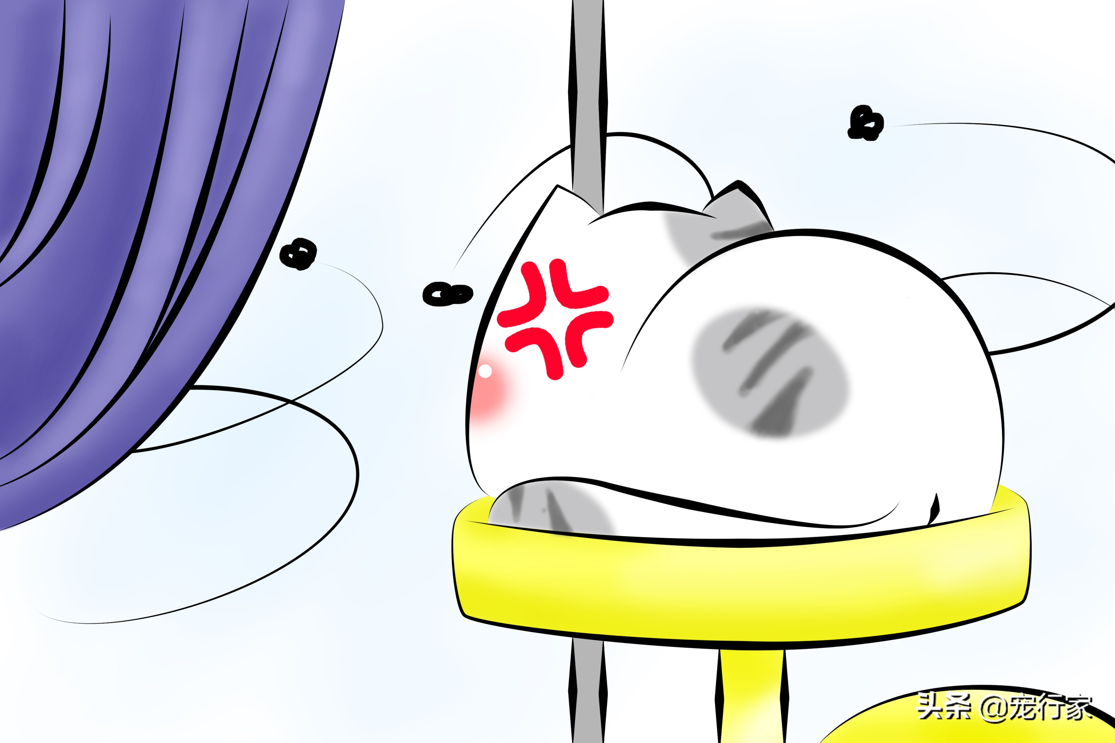 看着猫咪吃美食,看着猫咪吃老鼠猫咪会牙齿软吗