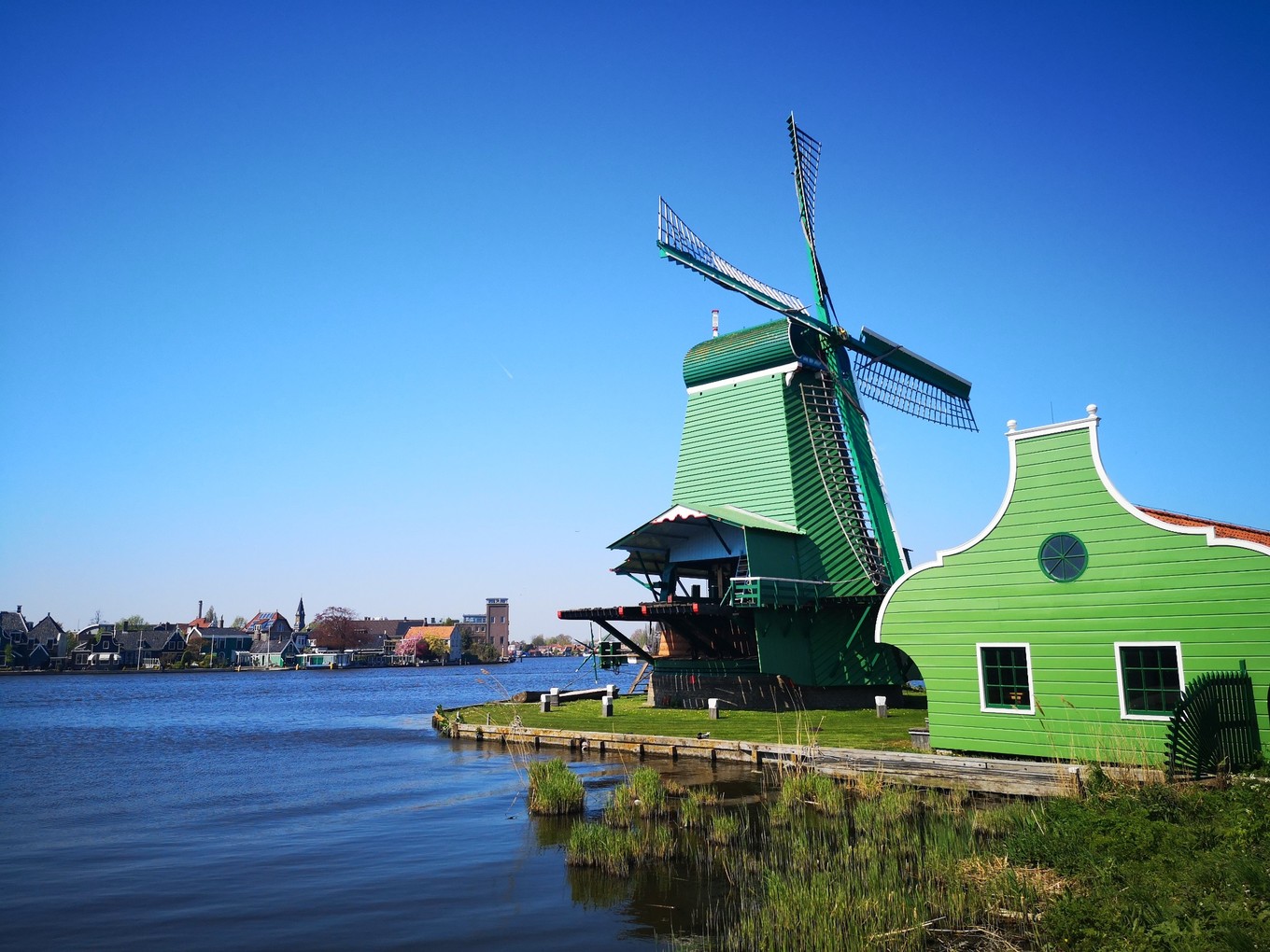 荷兰郁金香一日游攻略,荷兰郁金香旅游