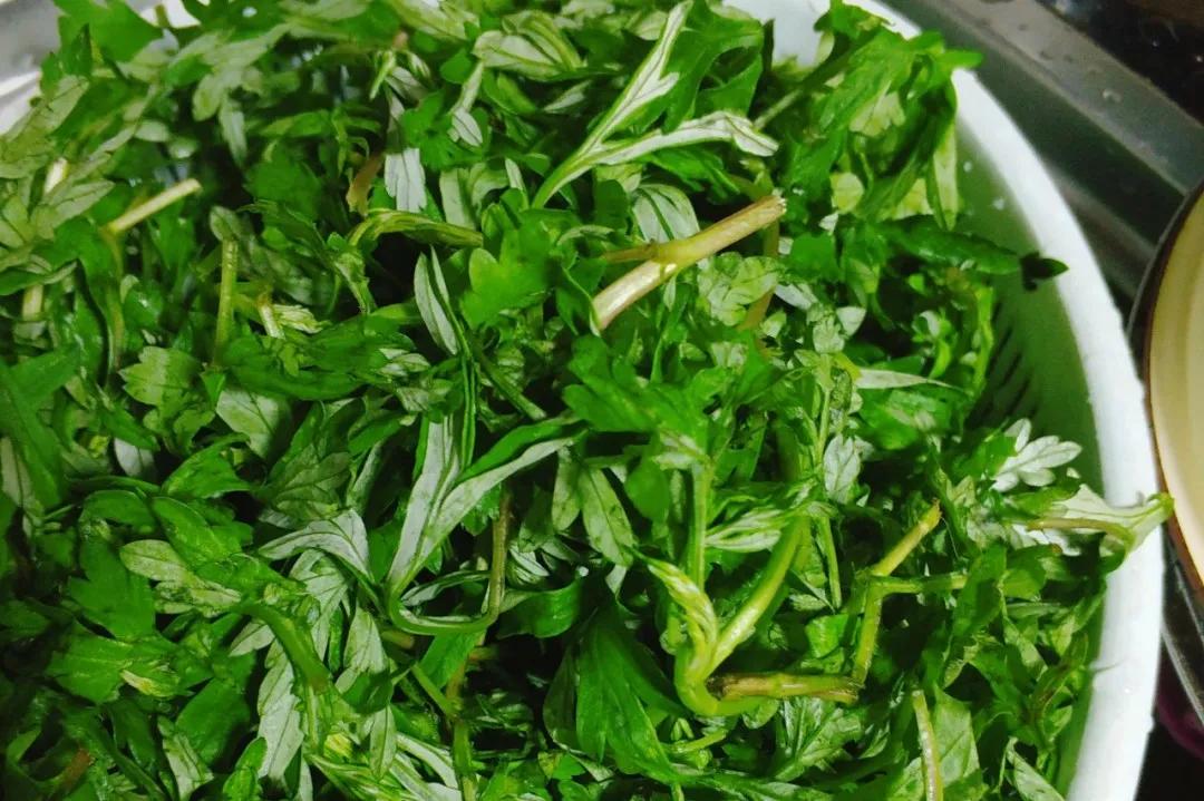 测评｜江浙沪青团*b大**attle，翻车的竟是这家杭州老字号