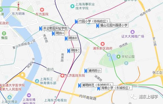 浦东最强摇号片区！公办巨头坐镇，随便摇都是好学校