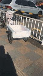 丽江市古城区北门红谷坡地艺术区,丽江红谷坡地艺术园区