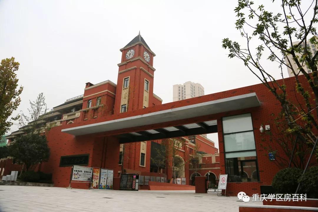 树人小学有初中吗,树人小学总校在哪里