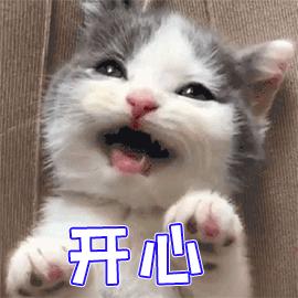 璇稿煄甯傛秷璐瑰埜浠锋牸,璇稿煄甯傛儬姘戞秷璐瑰埜