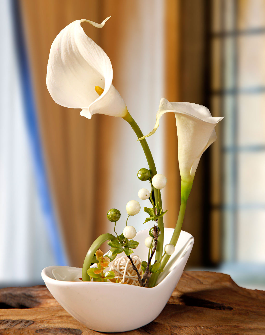 剪马蹄莲的方法,马蹄莲怎么剪枝好看图片