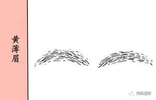 破财眉的特点,破财眉