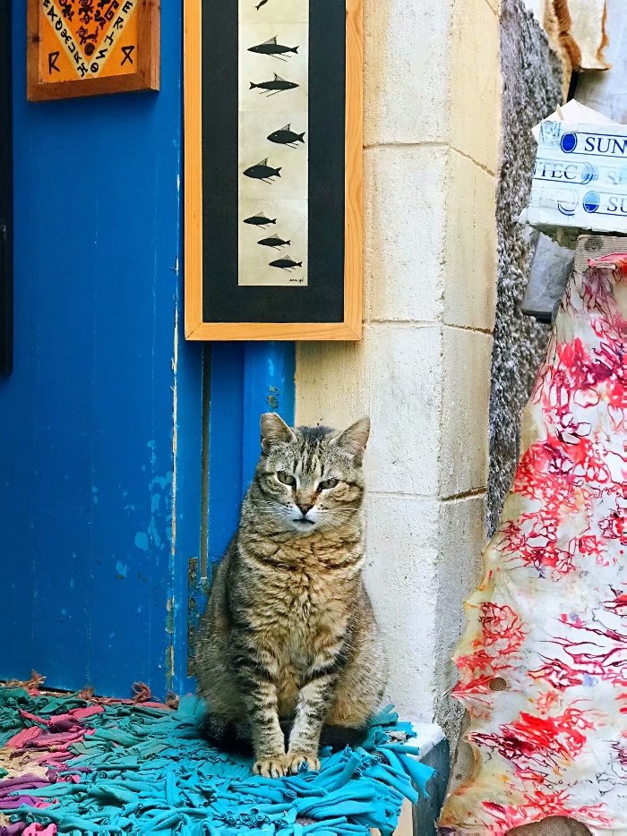 去摩洛哥自由行攻略,摩洛哥游玩自由行攻略