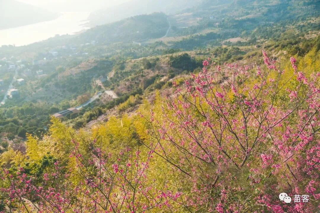 微时光田东,微时光美好生活