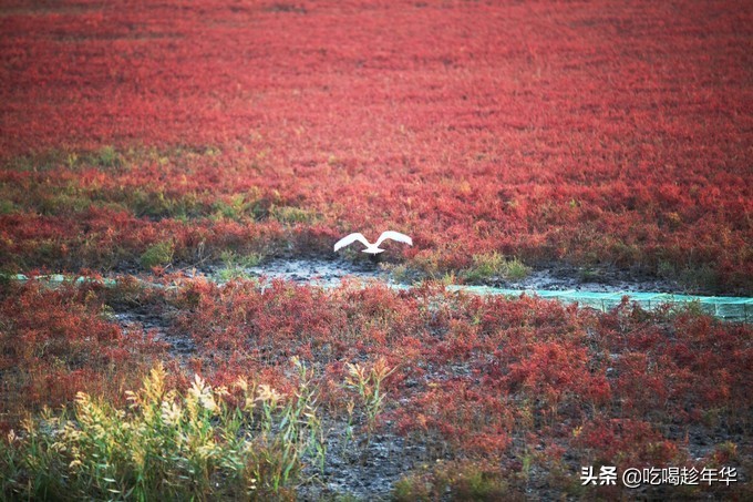 营口团山海洋公园是北海公园吗,营口团山海洋公园和金帛滩哪个好