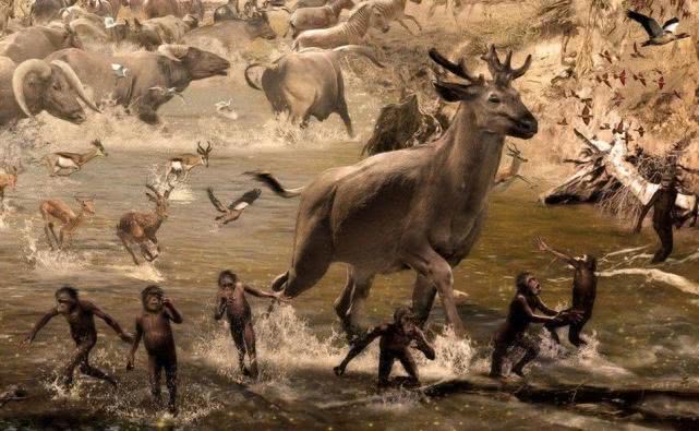 人脑进化过程：为什么人类有这么强的思考能力？