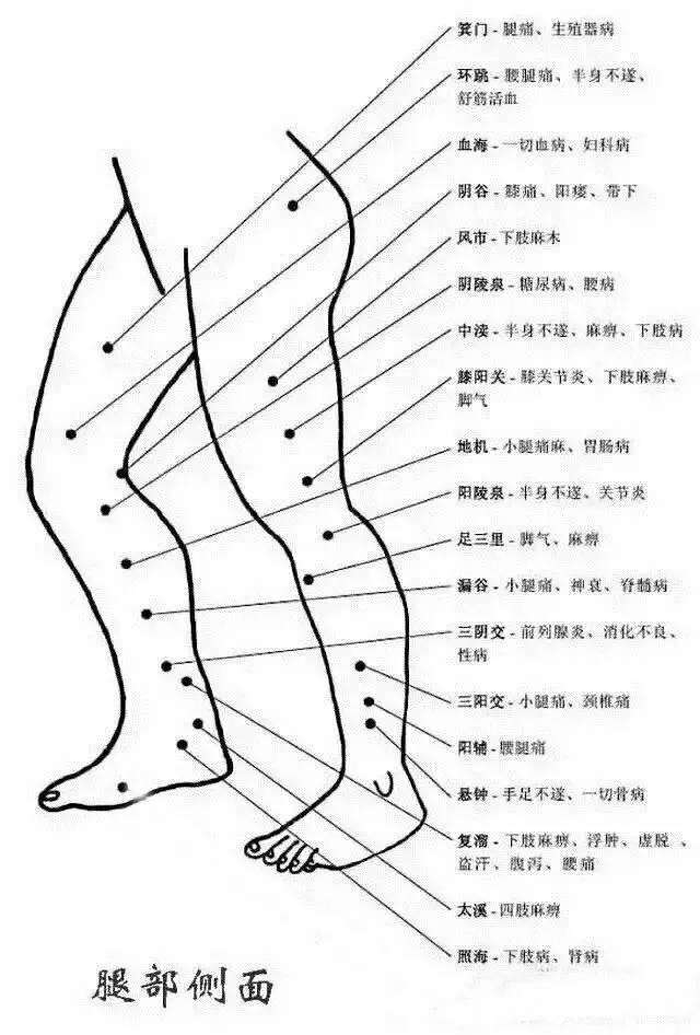 腧穴分为几大类,腧穴的分类和区别