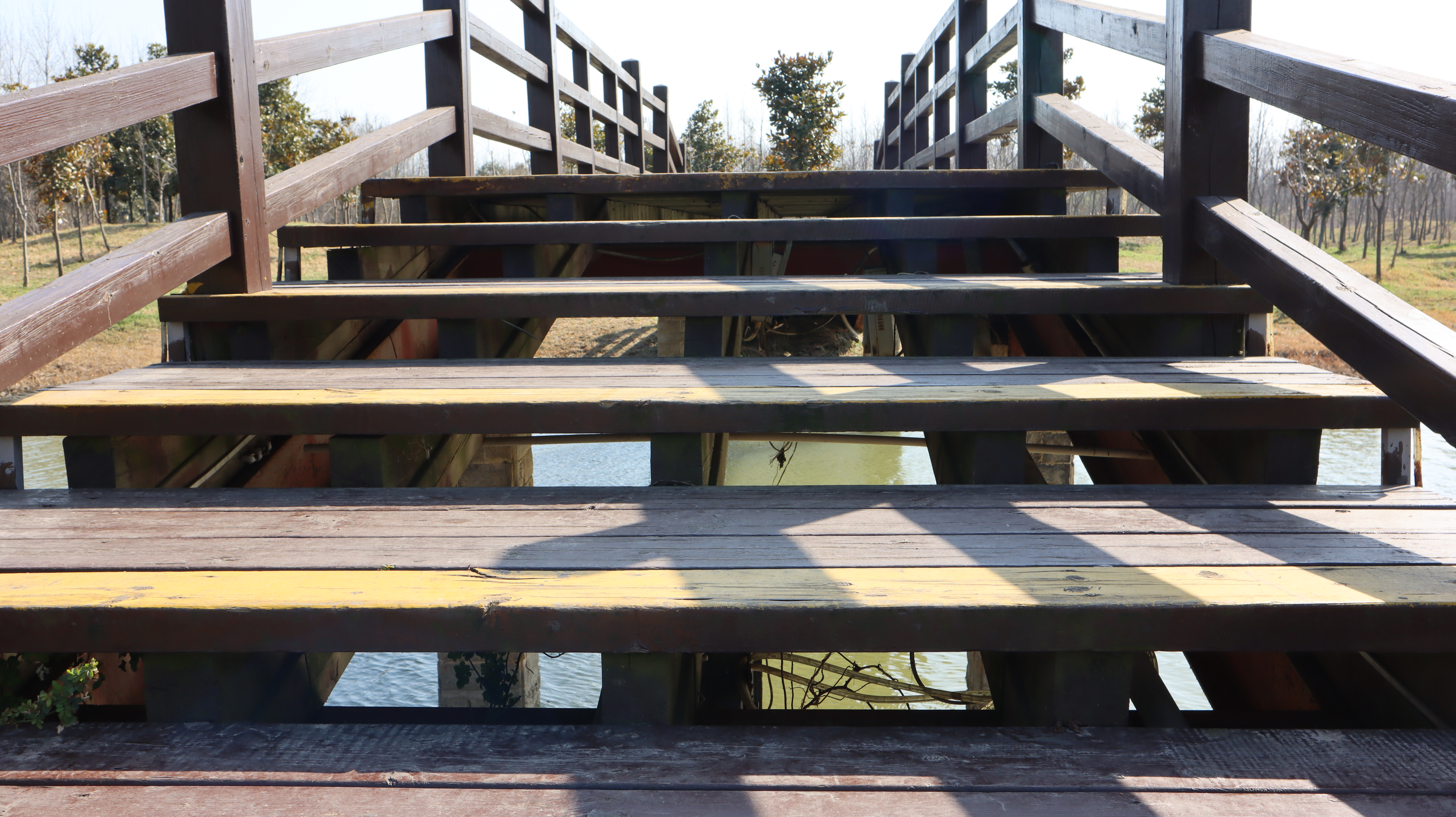 扬州扬子津郊野公园,扬州城市书房附近的公园