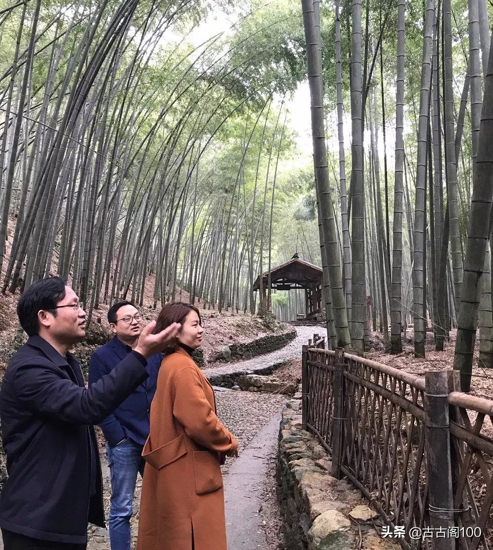 萧绍古道沿途风景,萧绍古道难爬吗