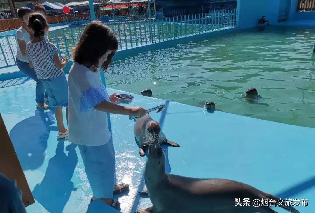 今年长岛蓬莱旅游预约门票优惠吗,长岛免费旅游景区
