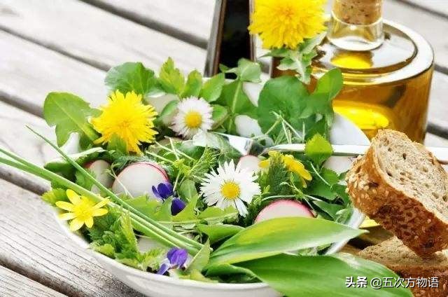 蒲公英泡水喝的利与弊你了解多少,关于蒲公英的知识科普