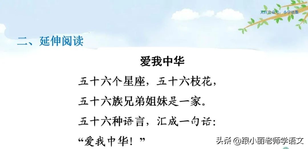 大青树下的小学重点知识点,大青树下的小学重点知识梳理