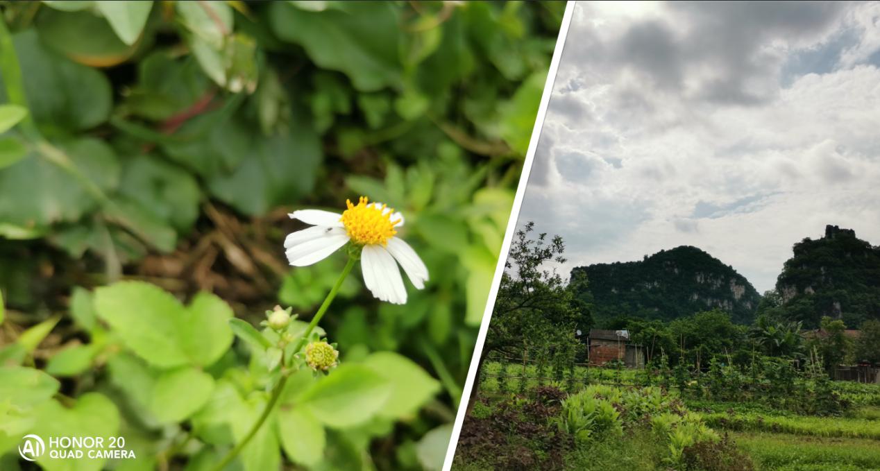 荣耀20是麒麟980处理器吗,荣耀20麒麟980怎么样