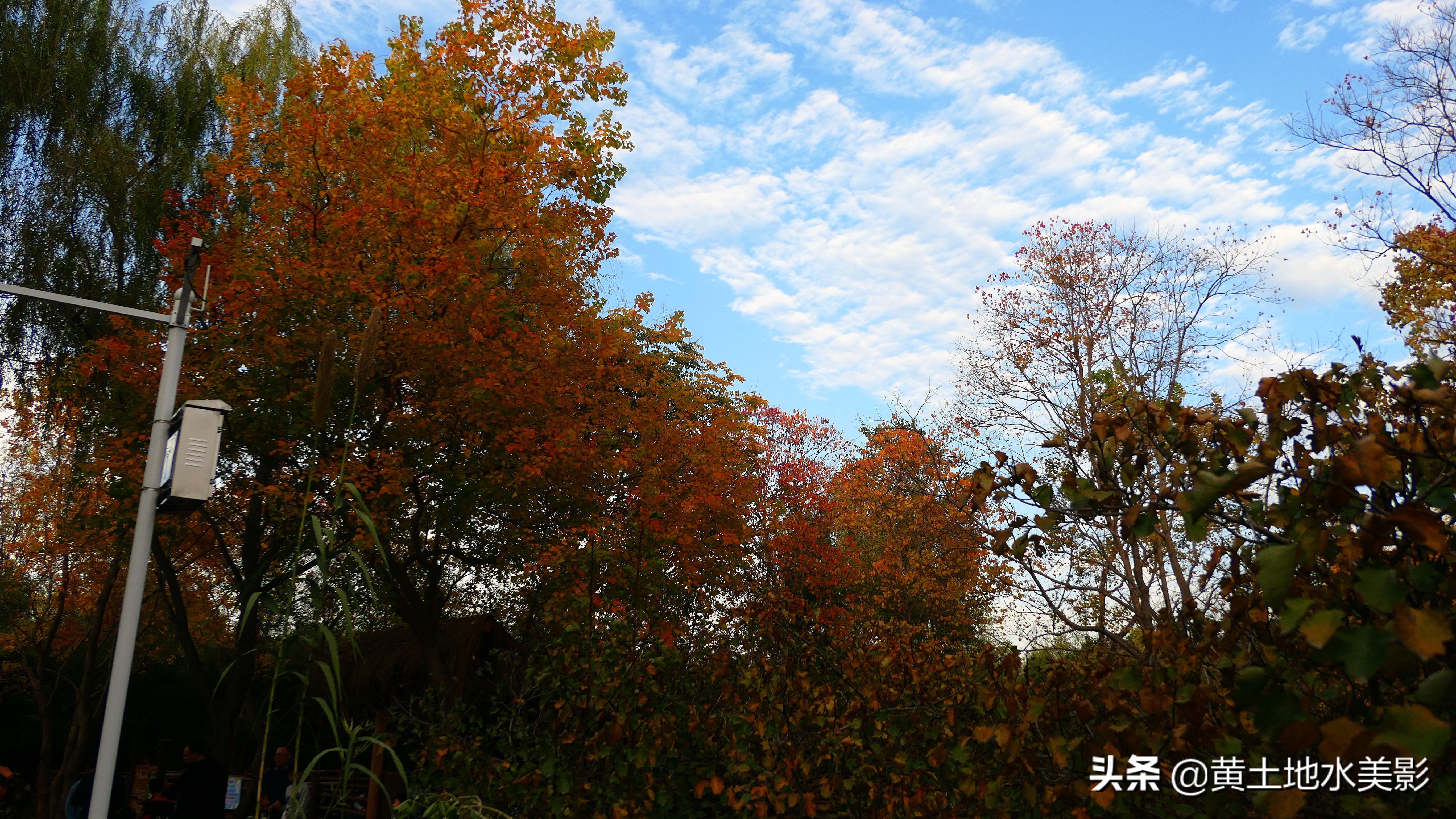 占地590亩的湿地公园,野生动物比较多的旅游景区