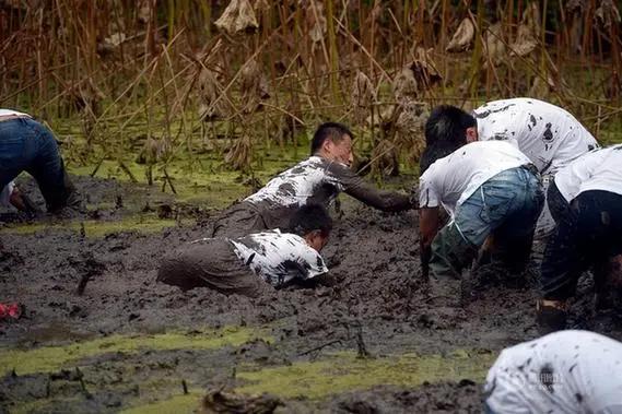 在别的城市上大学真的好吗,去哪个城市上大学最舒服