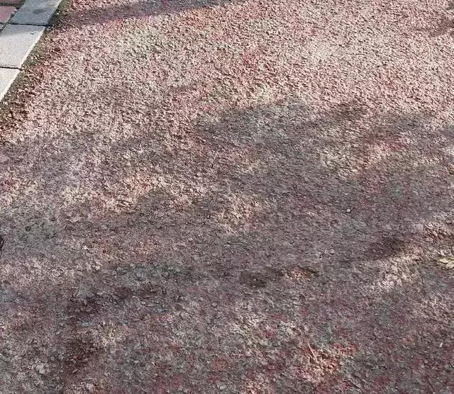 屋顶花园铺装施工步骤,花园铺装要关注什么