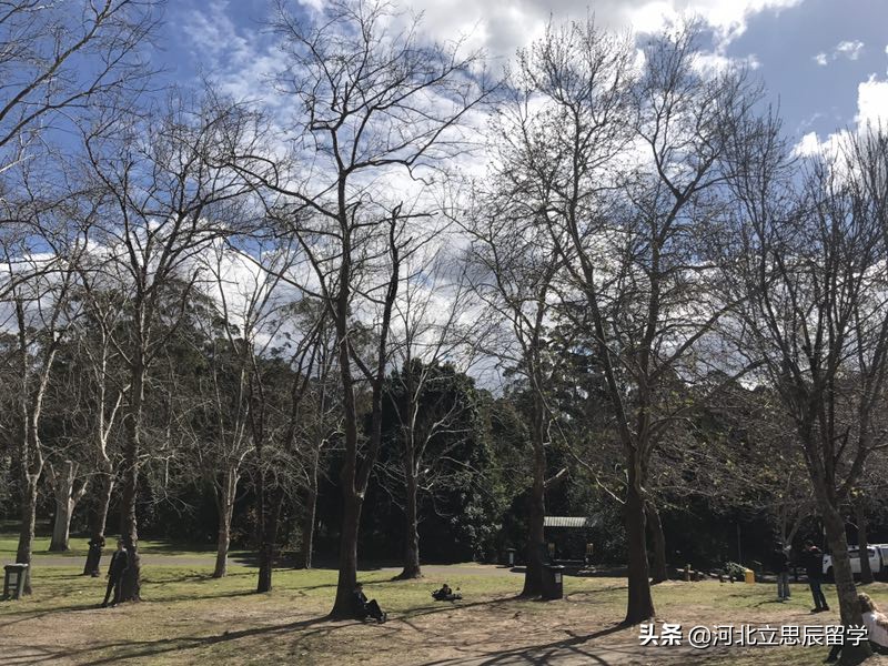 留学被开除的出路,留学生被遣返最新规定