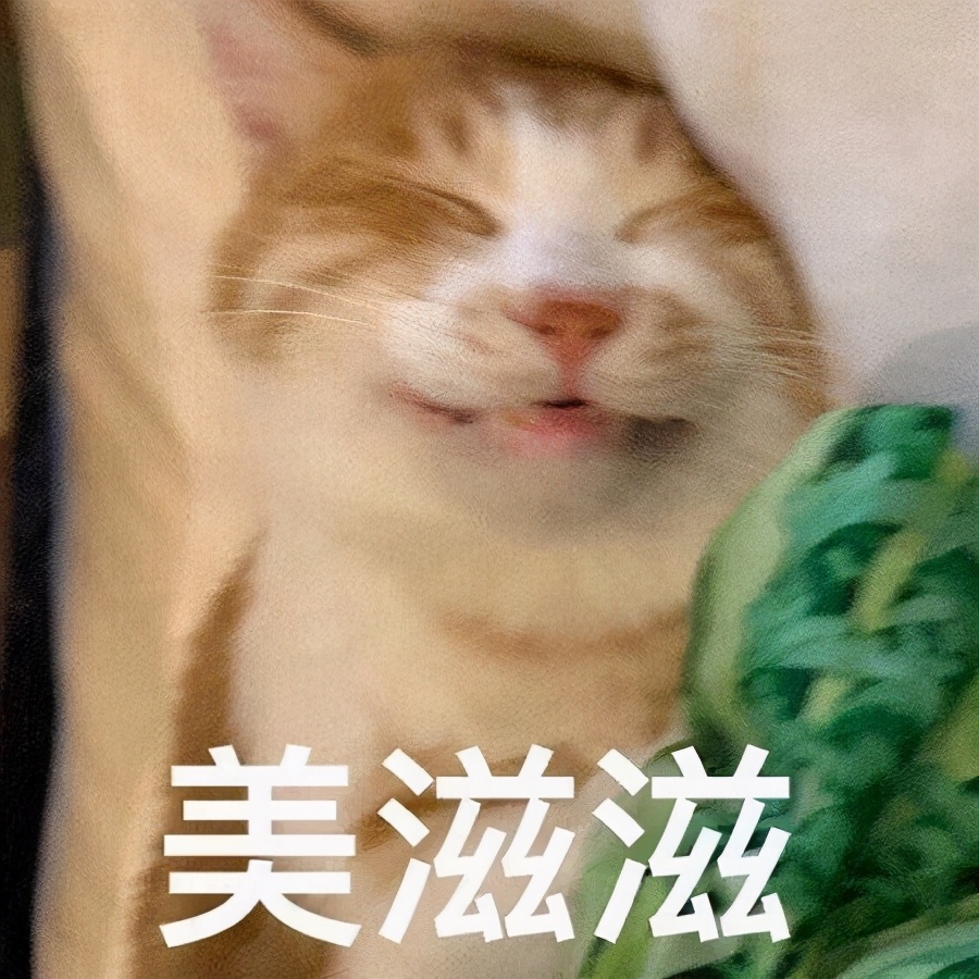 废物你除了睡觉还会干啥的表情包,混吃混喝做个快乐的废物表情包