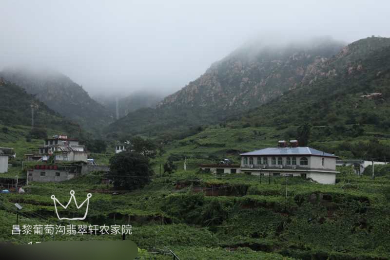 昌黎黄金农家院住宿,黄金海岸农家院住宿选金海渔村