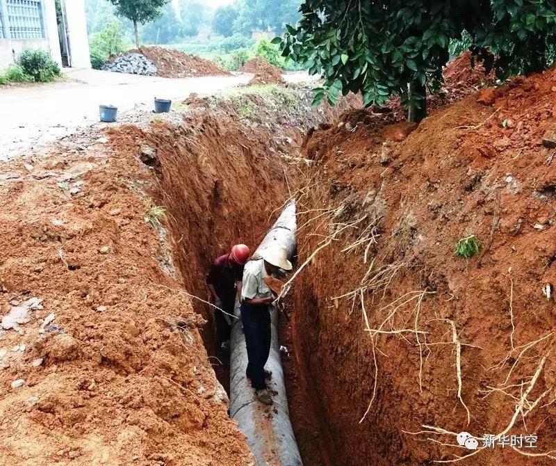 蒋家嘴西洞庭自然保护区,蒋家嘴镇规划