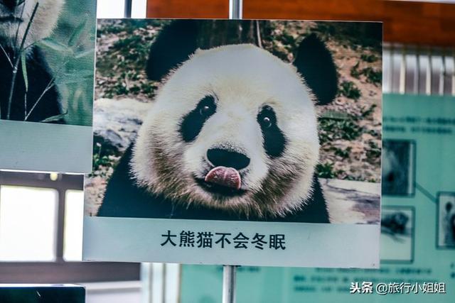 天目湖加南山竹海哪里泡温泉好,天目湖度假秘境享受绝美自然山水