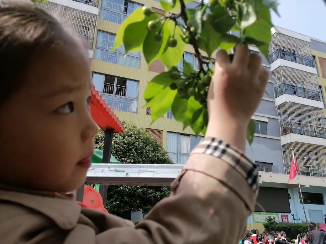 成都市双流区告捷幼儿园主题活动,天府新区幼儿园活动