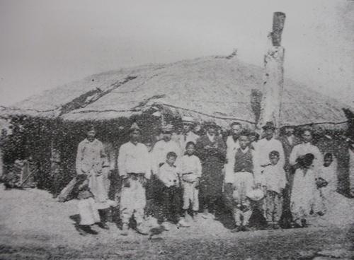 朝鲜水稻种植历史,朝鲜水稻怎么引入东北的