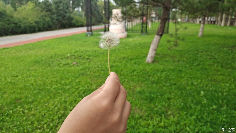 海淀区稻香湖景酒店,北京海淀稻香湖景酒店夜景
