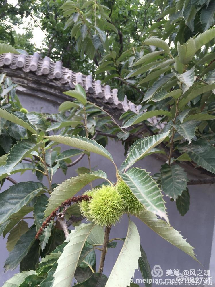 遵化汤泉温泉度假村山顶星空汤屋,遵化福泉宫温泉度假村农家院出售