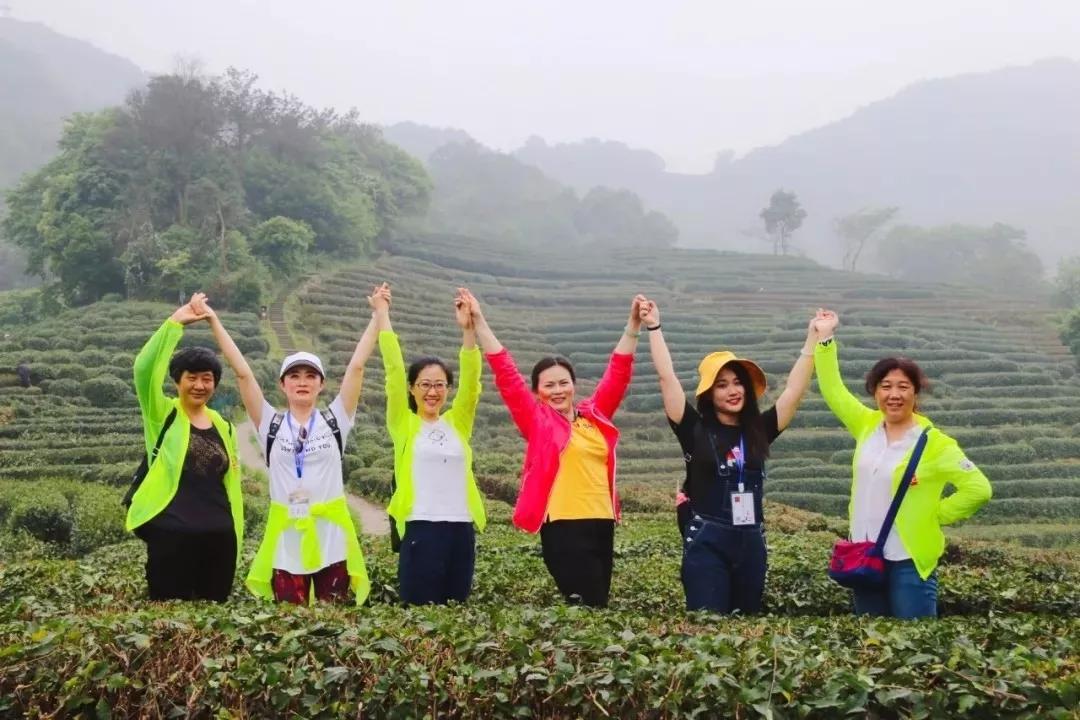 浙江茶艺师培训：全国一二级茶艺师培训班招生，各等级长年报名中