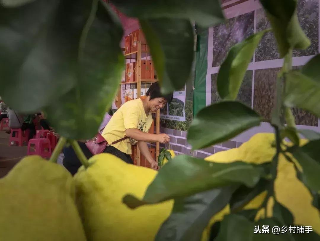 南粤古驿道平远站,平远县展览
