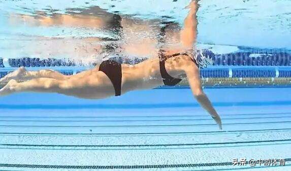 中游体育全浸自由泳,中游体育为什么自由泳打腿不前进