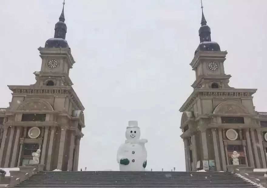 公园回应大妈路边卖雪,大妈卖雪5元一盆