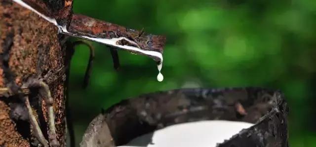 无印良品的天然乳胶枕头价格,无印良品有乳胶枕头授权吗