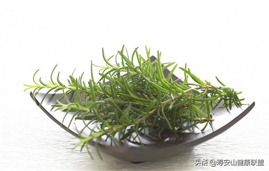 迷迭香精油的功效与作用及怎么使用,迷迭香精油的功效与作用图片