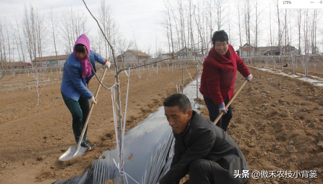 如何区分尿素氯化铵和硫酸铵,如何区分硝酸铵硫酸铵和尿素