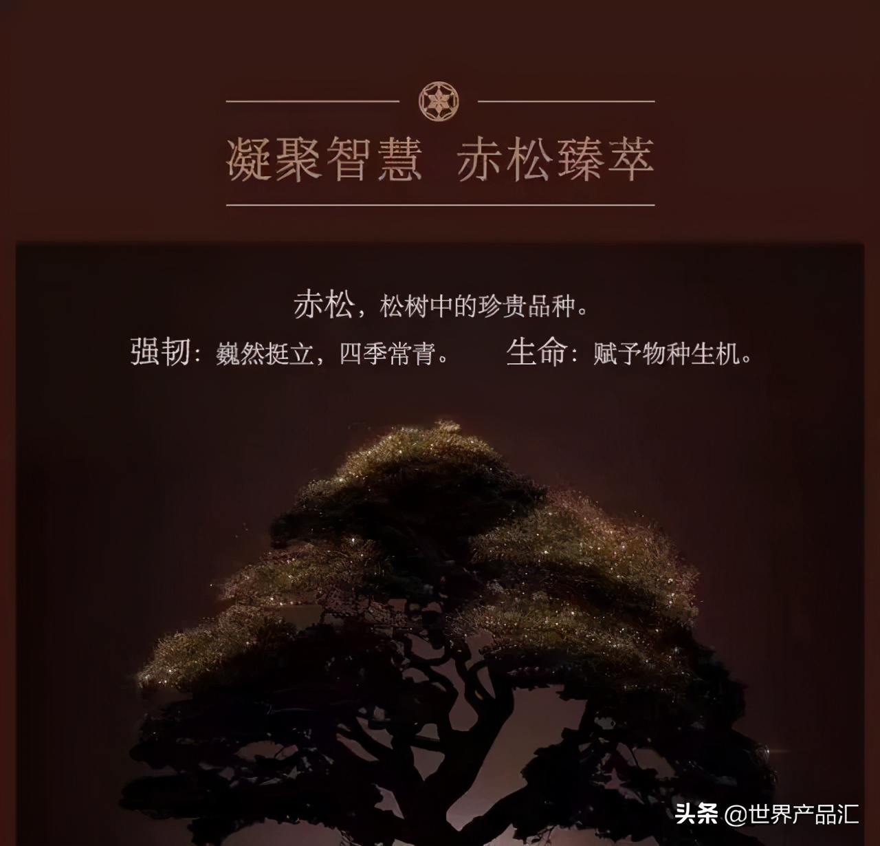 雪花秀保湿祛黄提亮套装测评,雪花秀哪个套盒抗皱好用