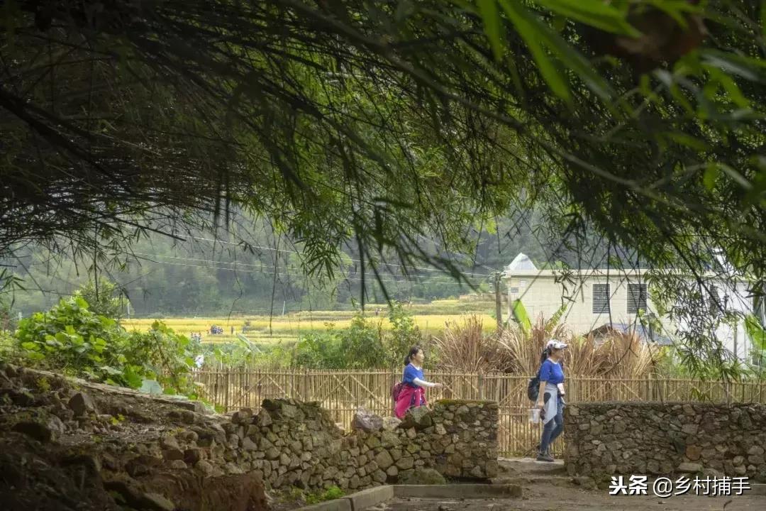 南粤古驿道平远站,平远县展览