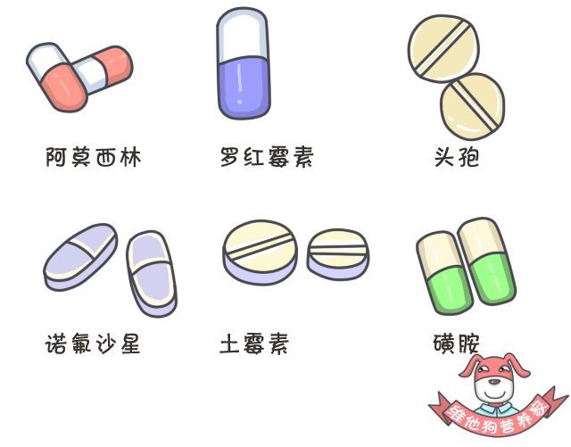 抗生素什么时候服用最好,抗生素什么时候起效果