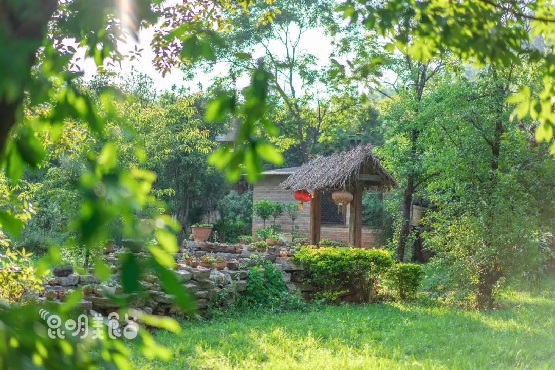 昆明高原明珠牛头宴,昆明附近哪里有世外桃源