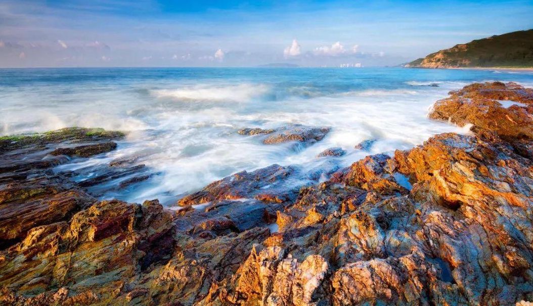 地球最强抗氧化虾青素,虾青素的抗氧化活性综述