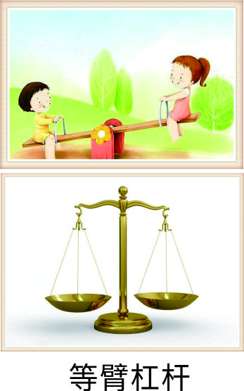 科学小实验天平,六年级科学实验探究杠杆平衡规律
