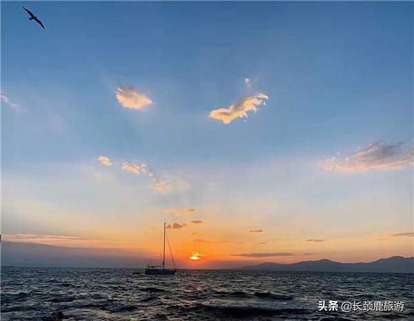 七夕去哪个城市玩,适合情侣七夕去旅游的地方